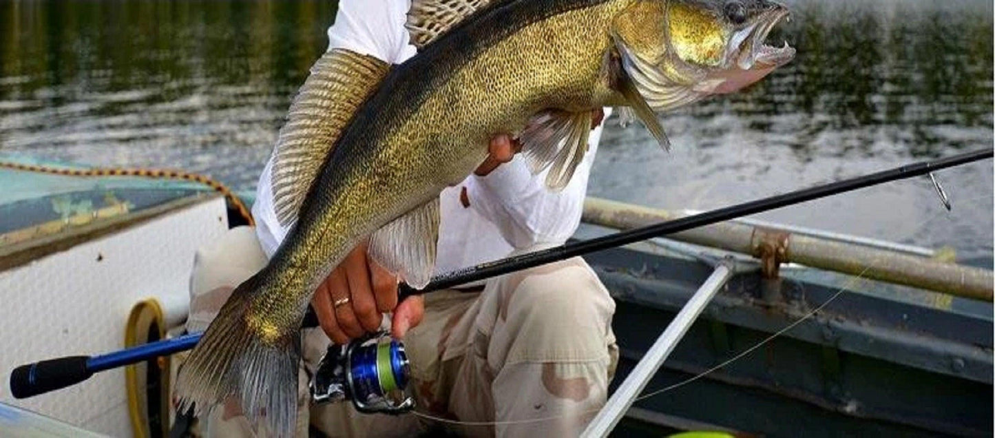 ZEMEX ULTIMATE Professional Edition - SP-Fishing