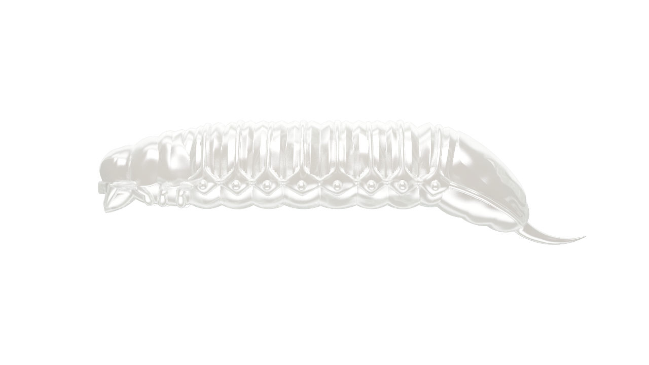 Libra Lures Goliath Forellen Gummiköder mit Silber-Perlmutt-Finish und aromatischer Duft, auf Wasser treibend, detailreiche Nahaufnahme