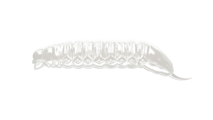 Libra Lures Goliath Forellen Gummiköder mit Silber-Perlmutt-Finish und aromatischer Duft, auf Wasser treibend, detailreiche Nahaufnahme