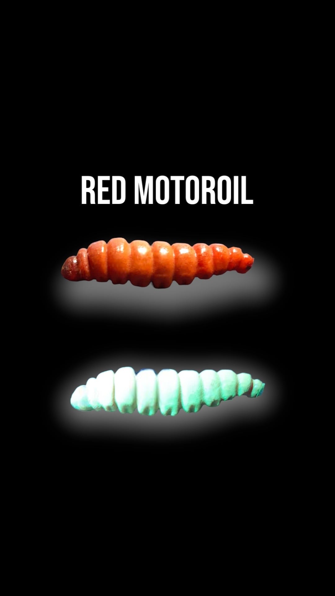 SE-BAITS MG Maggy Extreme Floating Gummiköder in vibrant colors, showcasing its lifelike design and buoyant features.