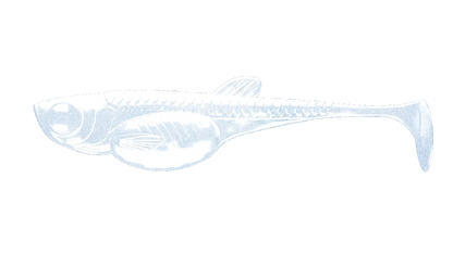 Libra Lures Predator Series Embion Shad Gummiköder in Blau-Perl, detailreiche Oberfläche und realistische Form, ideal für Raubfischangeln