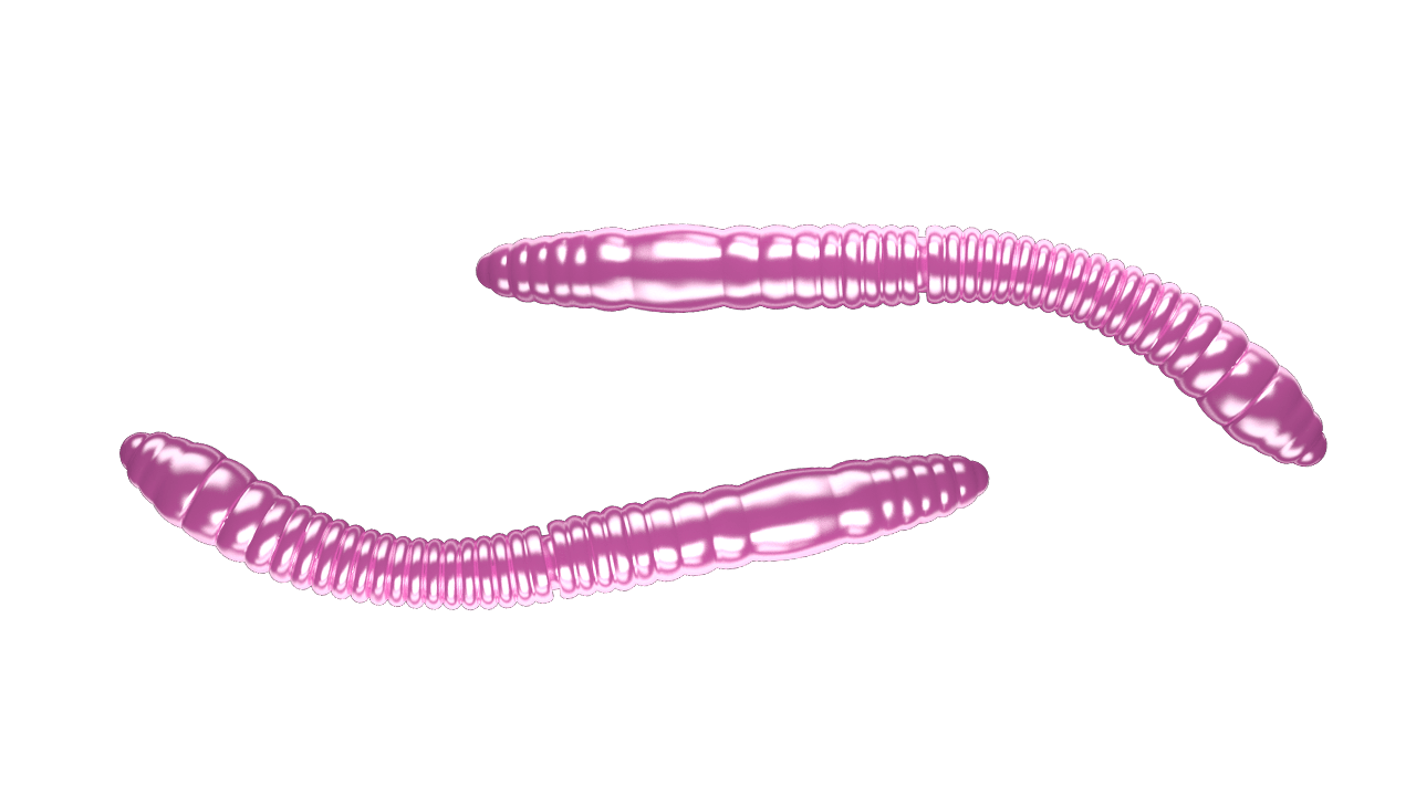 LIBRA LURES FATTY D'WORM TOURNAMENT 55mm Aroma Käse - SP-Fishing