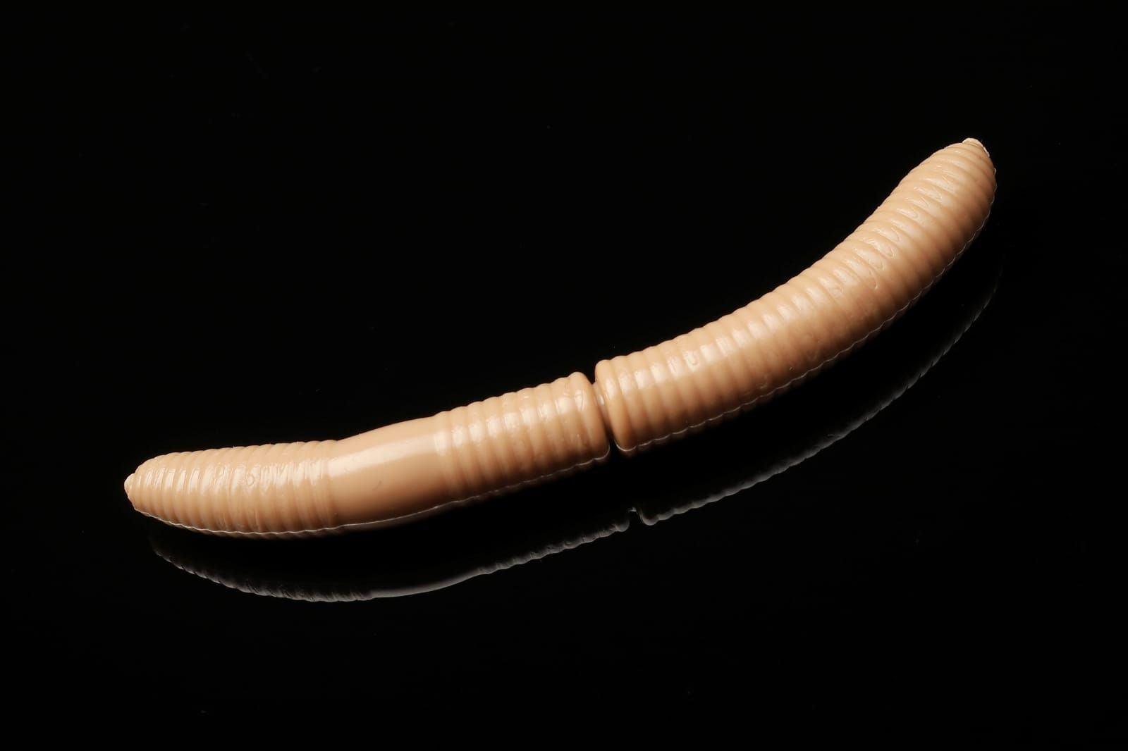 LIBRA LURES FATTY D´WORM 65mm Aroma Käse / Knoblauch / Krill - SP-Fishing