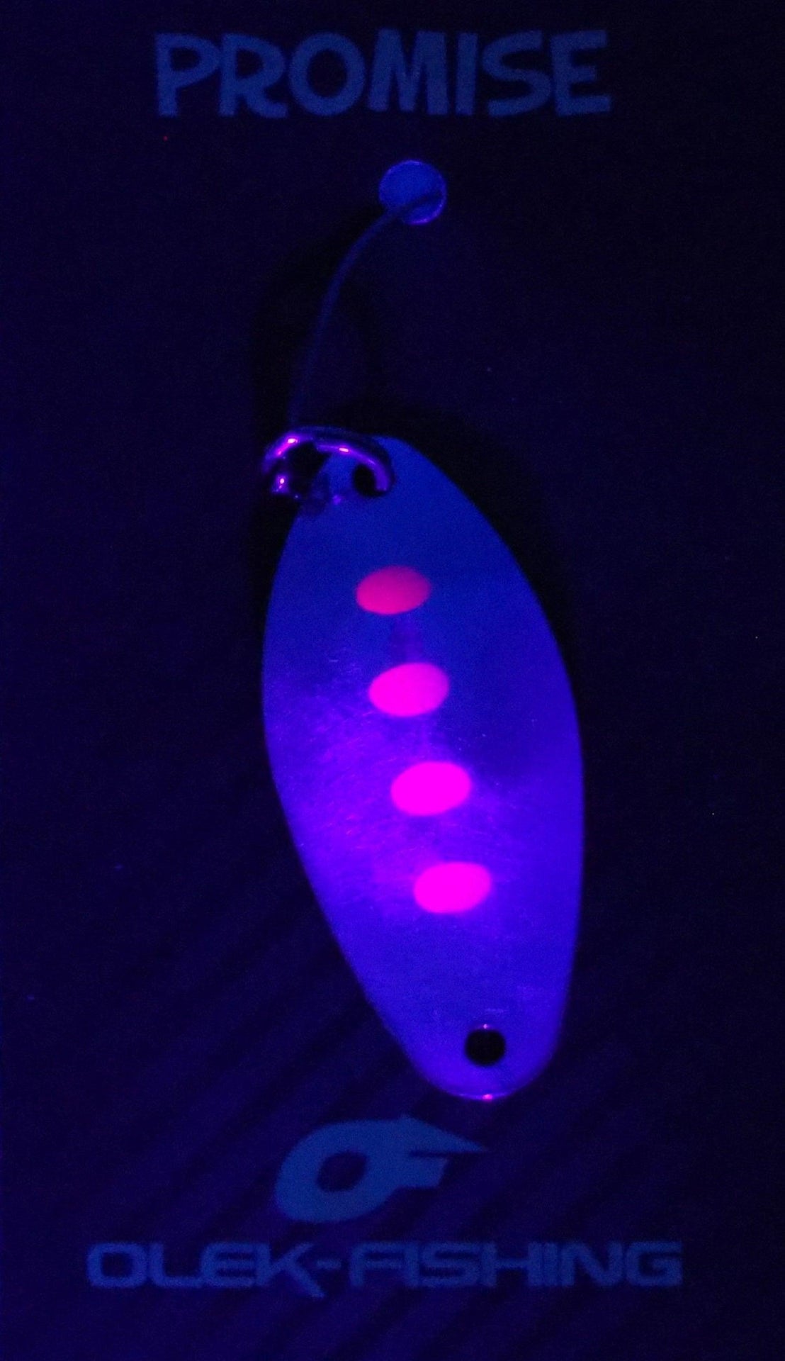 OLEK-Fishing Promise Young Salmon - SP-Fishing