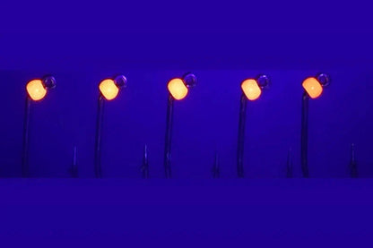 SE-HOOKS Haken mit Widerhaken und Tungstenperle in Fluo Orange - SP-Fishing