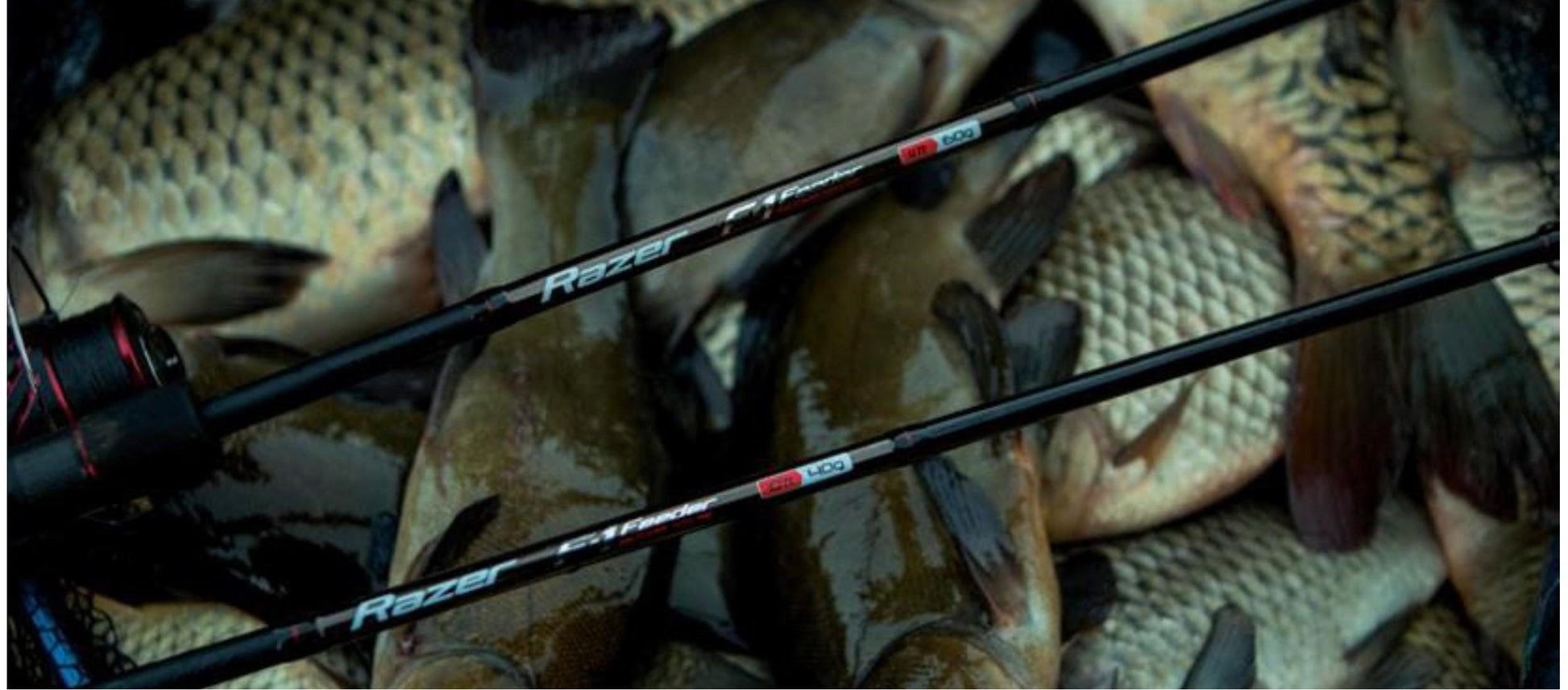 ZEMEX Razer - SP-Fishing